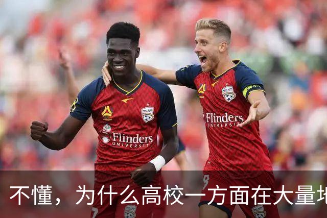 不懂，为什么高校一方面在大量地招博士讲师，另一方面又设置了比较严苛的考核标准？两年三C一B，都要担心随时走人！