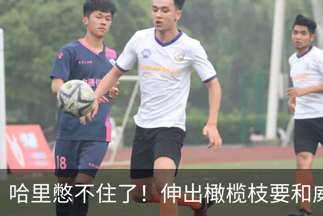 哈里憋不住了！伸出橄榄枝要和威廉和解，但又不承认自己错了