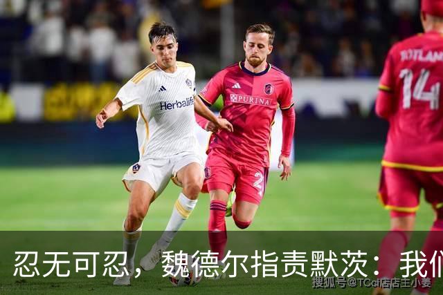 忍无可忍，魏德尔指责默茨：我们自己都没钱花了，你装什么大款？