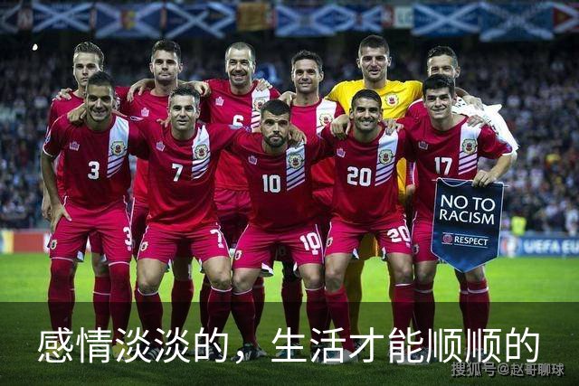 感情淡淡的，生活才能顺顺的