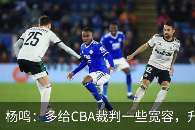 杨鸣：多给CBA裁判一些宽容，升降级了谁也不可能胡来