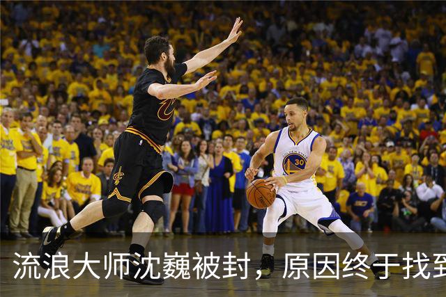 流浪大师沈巍被封，原因终于找到了