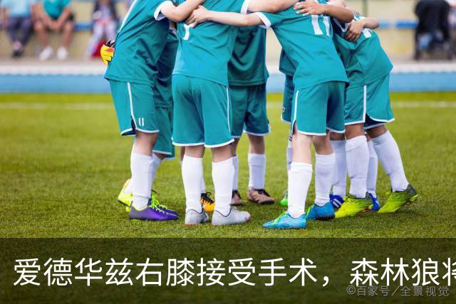 爱德华兹右膝接受手术，森林狼将一次性解决膝伤，预计休战2个月