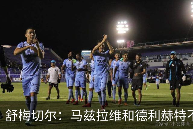 舒梅切尔：马兹拉维和德利赫特不合格，整支球队都没了血性