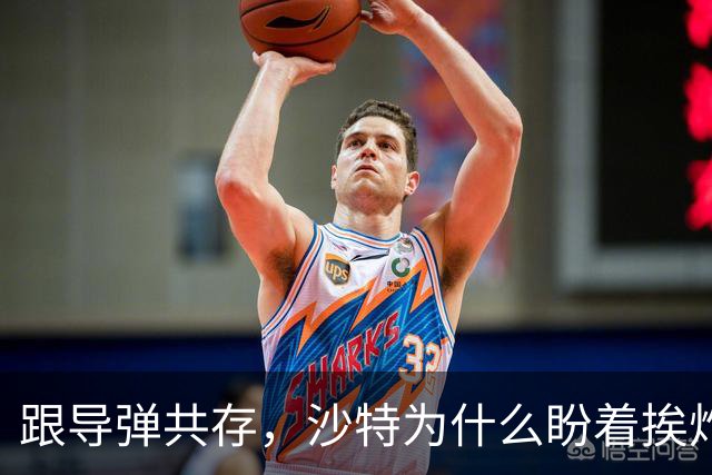 跟导弹共存，沙特为什么盼着挨炸？