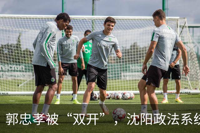 郭忠孝被“双开”，沈阳政法系统的看门人，没能看住自己